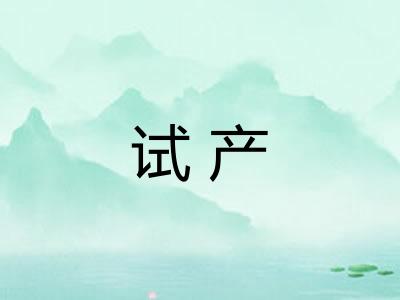 试产