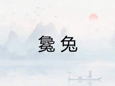 毚兔 毚兔
