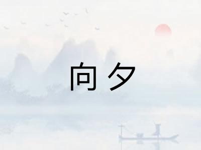 向夕 向夕
