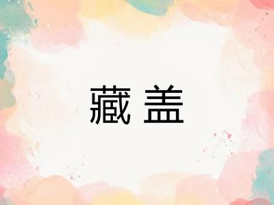 藏盖