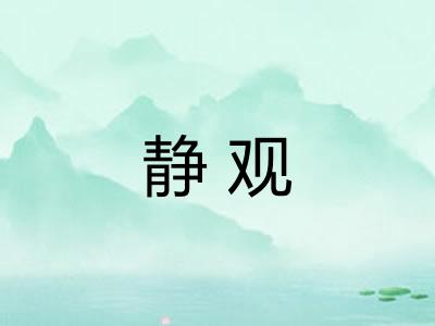 静观
