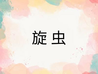 旋虫