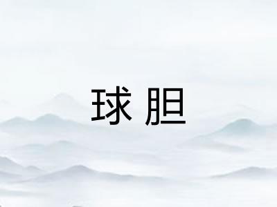 球胆
