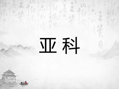 亚科