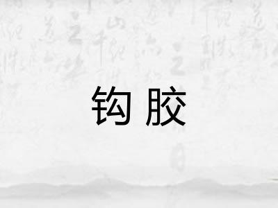 钩胶 钩胶