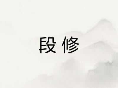 段修 段修