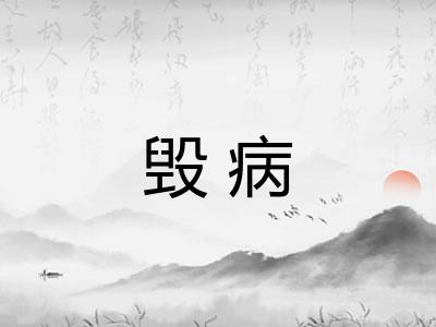 毁病 毁病