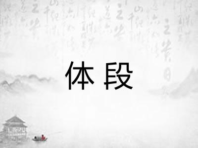体段