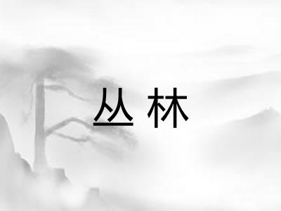 丛林 丛林