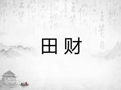 田财
