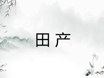 田产 田产