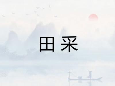 田采