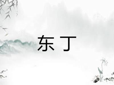 东丁 东丁