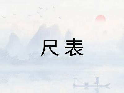尺表 尺表
