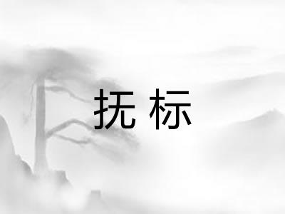 抚标