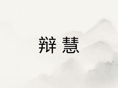 辩慧 辩慧