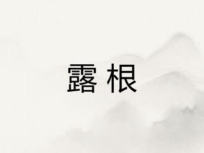 露根 露根