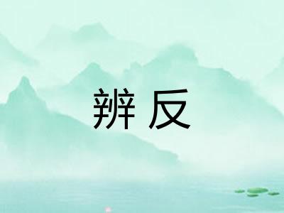 辨反 辨反