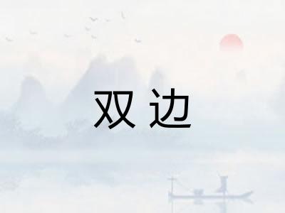 双边 双边
