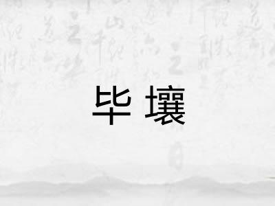 毕壤 毕壤