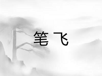 笔飞