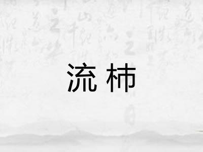 流杮