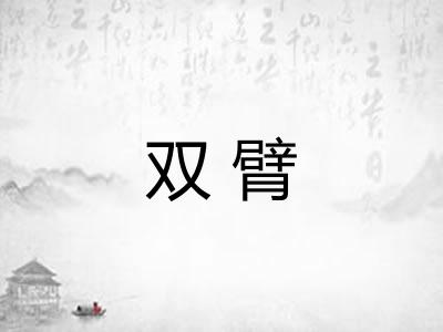 双臂 双臂