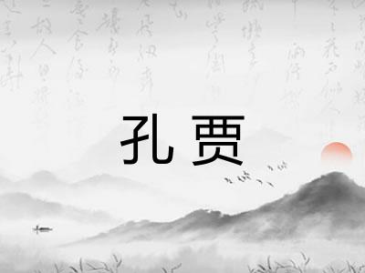 孔贾