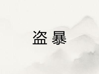 盗暴