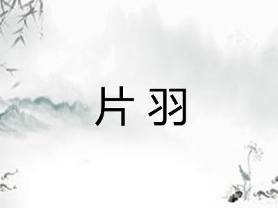 片羽 片羽
