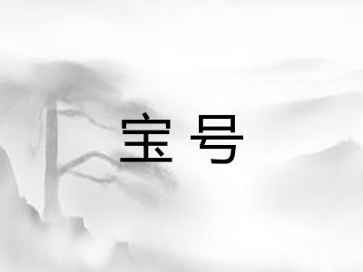 宝号 宝号