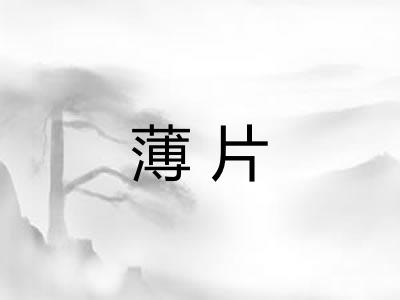 薄片 薄片