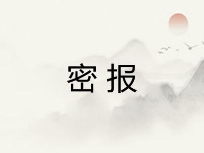 密报 密报