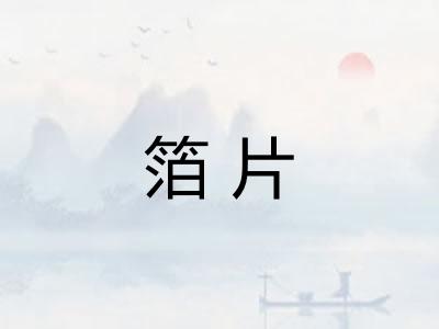 箔片 箔片