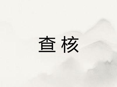查核 查核