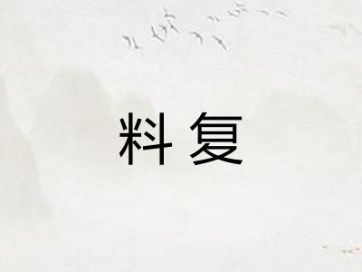 料复