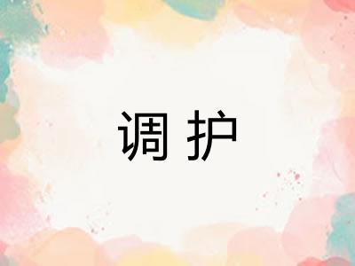 调护 调护