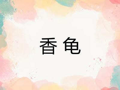 香龟 香龟