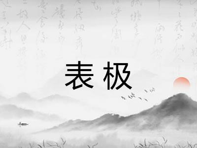表极