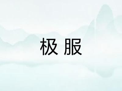极服