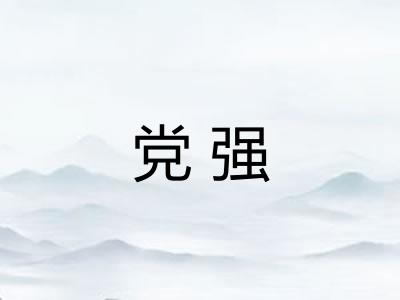 党强 党强