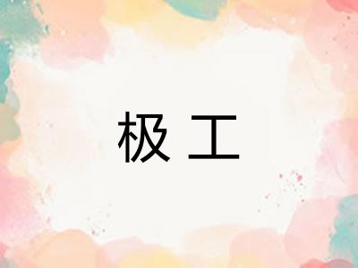 极工 极工