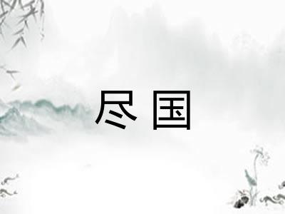 尽国