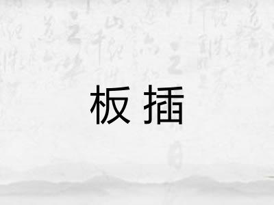 板插 板插