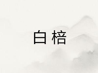 白棓 白棓