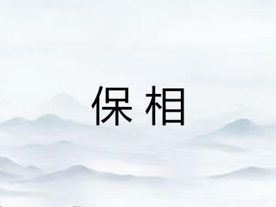 保相