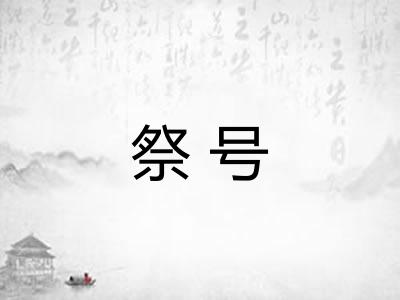 祭号