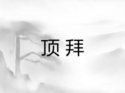 顶拜 顶拜