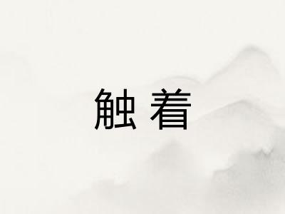 触着 触着