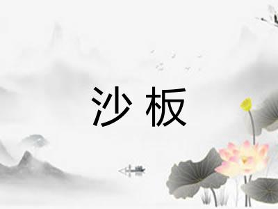 沙板 沙板